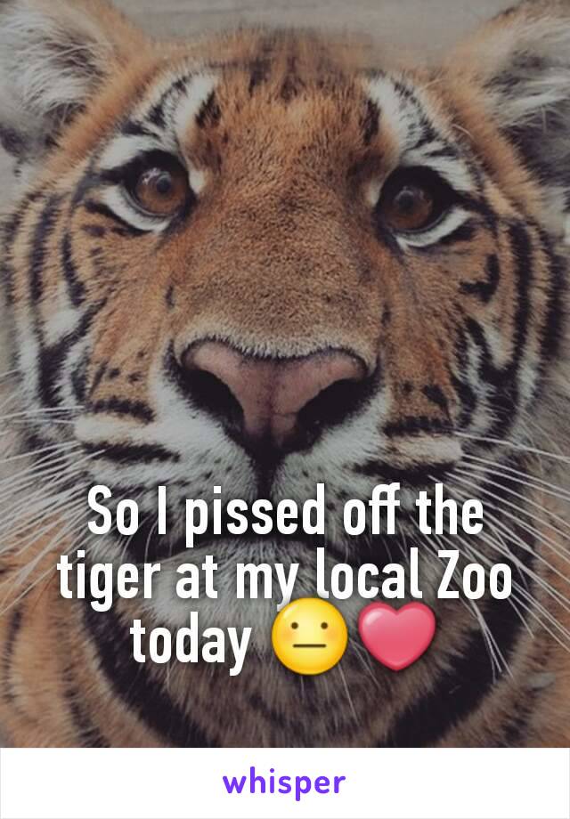 So I pissed off the tiger at my local Zoo today 😐❤