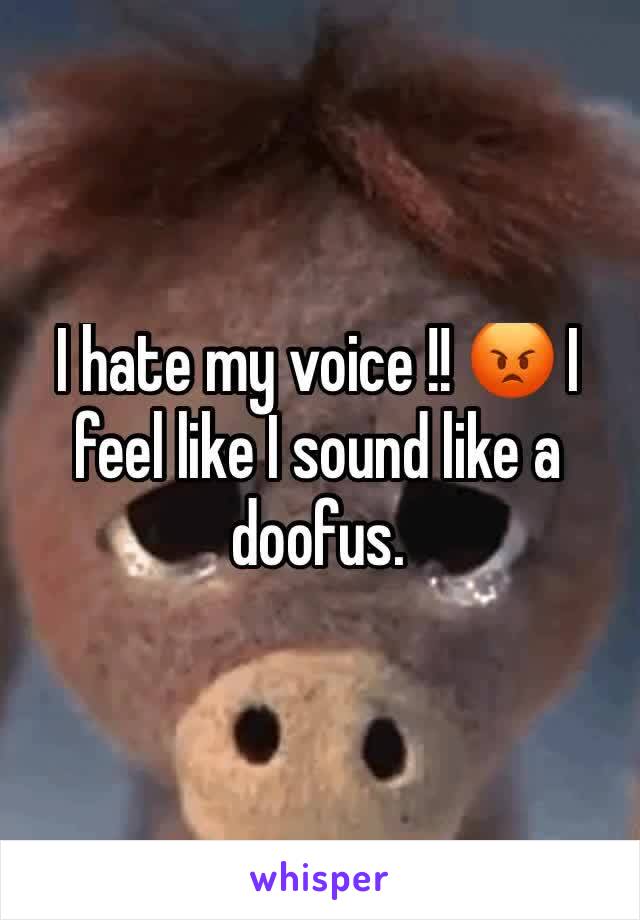 I hate my voice !! 😡 I feel like I sound like a doofus. 