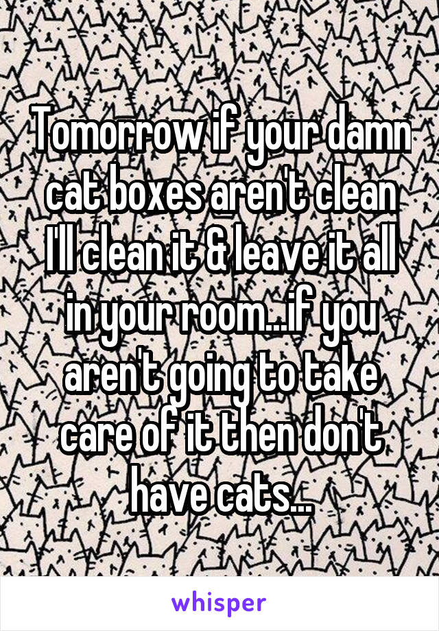 Tomorrow if your damn cat boxes aren't clean I'll clean it & leave it all in your room...if you aren't going to take care of it then don't have cats...