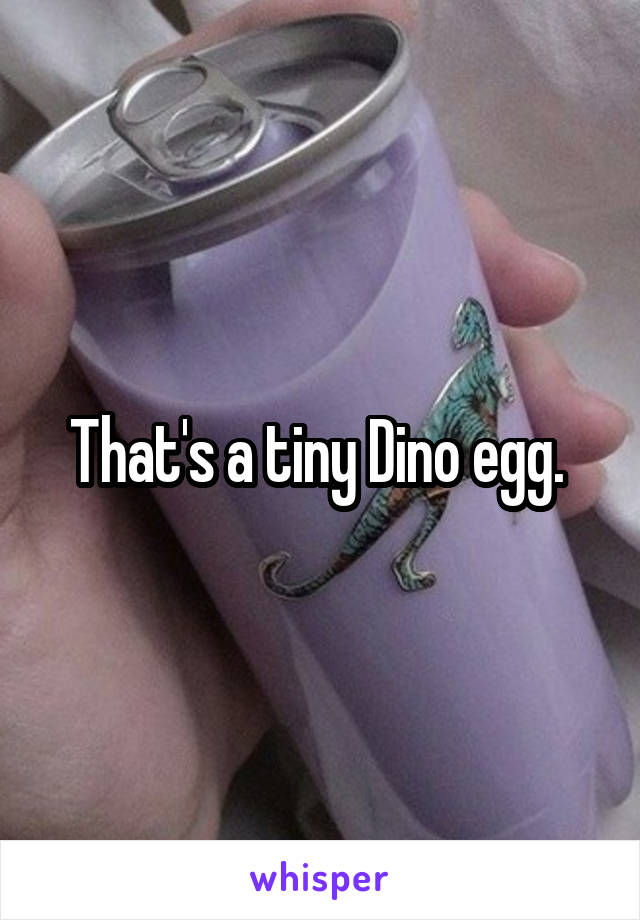 That's a tiny Dino egg. 