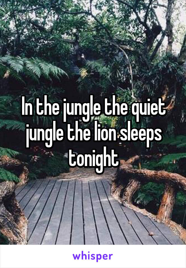 In the jungle the quiet jungle the lion sleeps tonight