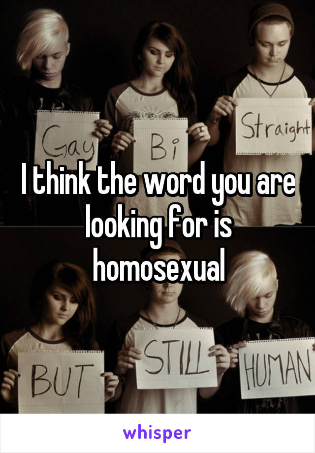 I think the word you are looking for is homosexual