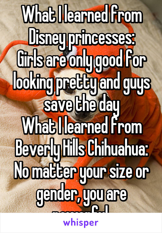 What I learned from Disney princesses:
Girls are only good for looking pretty and guys save the day
What I learned from Beverly Hills Chihuahua:
No matter your size or gender, you are powerful 