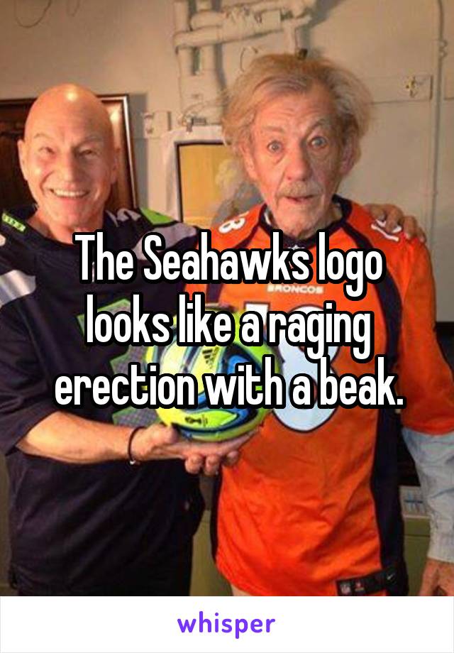 The Seahawks logo looks like a raging erection with a beak.