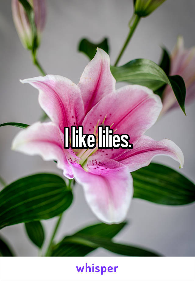 I like lilies.