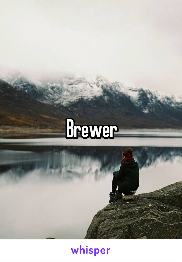 Brewer