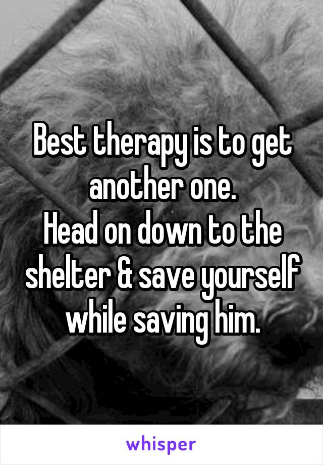 Best therapy is to get another one.
Head on down to the shelter & save yourself while saving him.