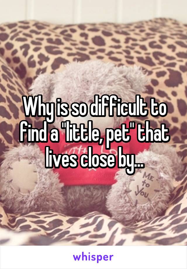 Why is so difficult to find a "little, pet" that lives close by...