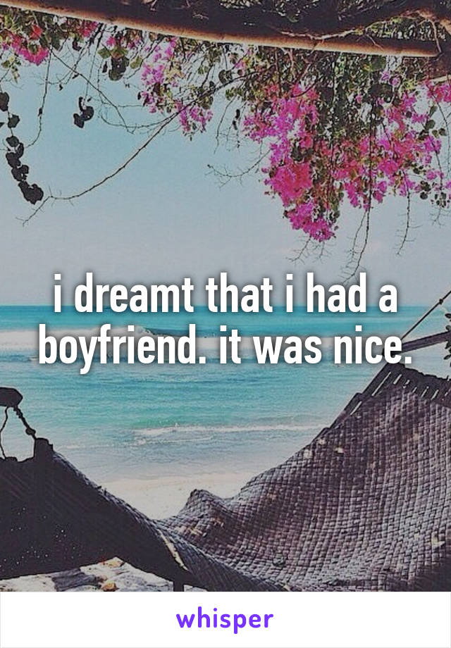 i dreamt that i had a boyfriend. it was nice.
