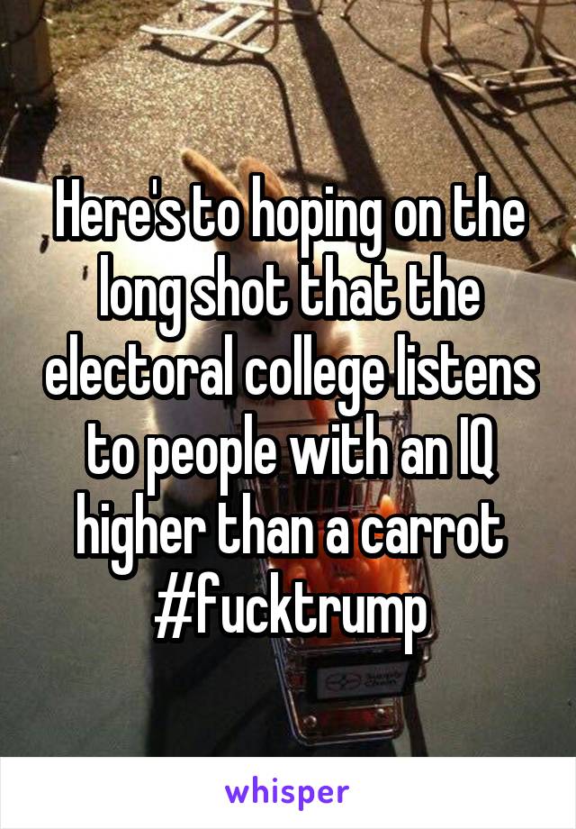 Here's to hoping on the long shot that the electoral college listens to people with an IQ higher than a carrot #fucktrump