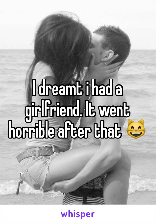 I dreamt i had a girlfriend. It went horrible after that 😸