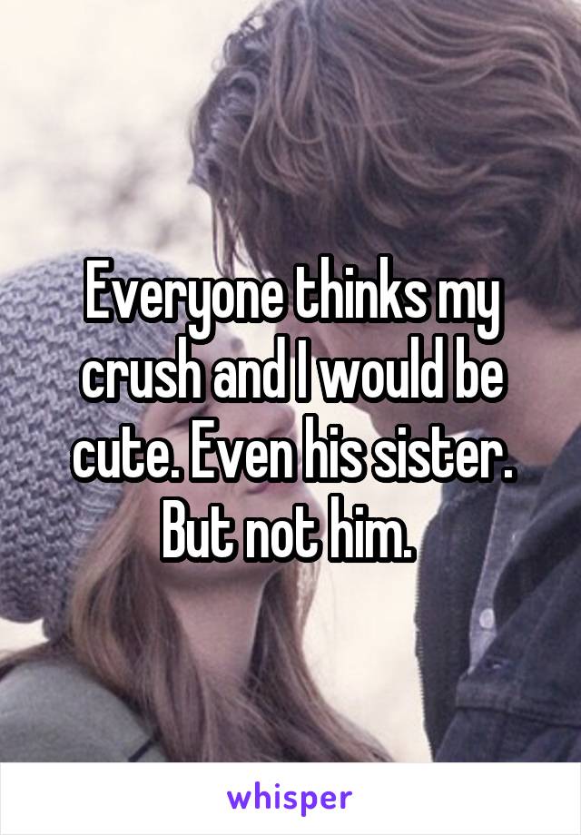 Everyone thinks my crush and I would be cute. Even his sister. But not him. 