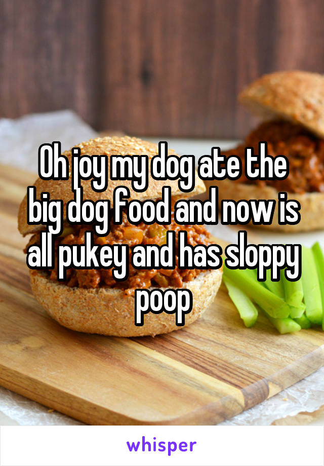 Oh joy my dog ate the big dog food and now is all pukey and has sloppy poop