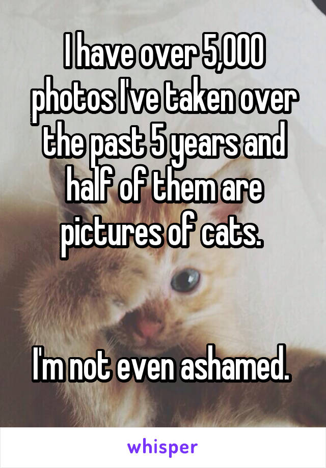 I have over 5,000 photos I've taken over the past 5 years and half of them are pictures of cats. 


I'm not even ashamed. 
