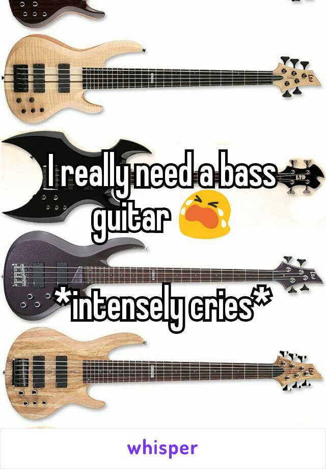 I really need a bass guitar 😭

*intensely cries*