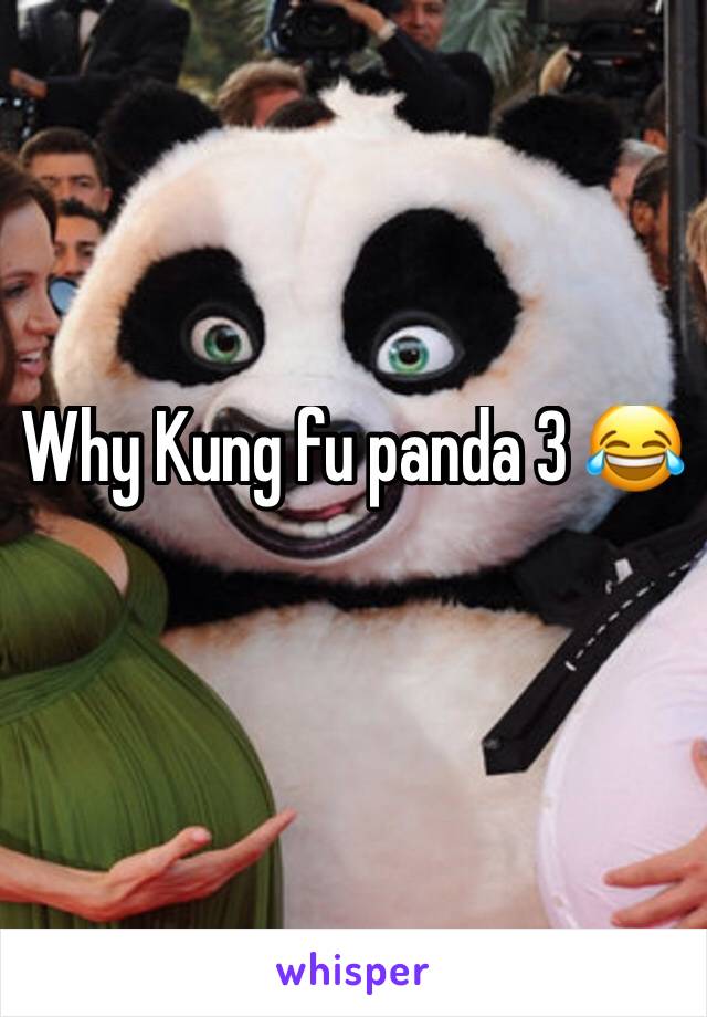 Why Kung fu panda 3 😂