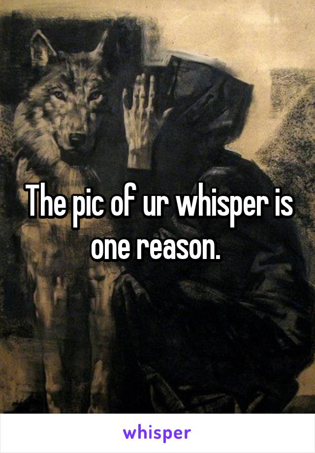 The pic of ur whisper is one reason. 