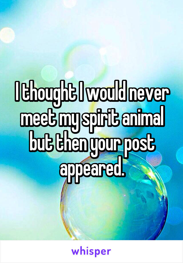 I thought I would never meet my spirit animal but then your post appeared.