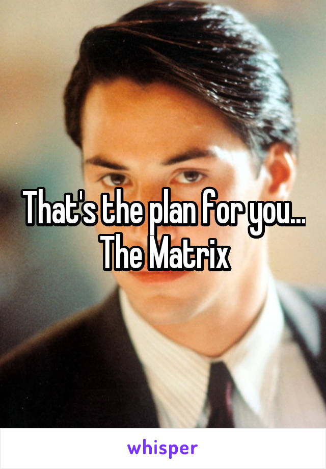 That's the plan for you...
The Matrix