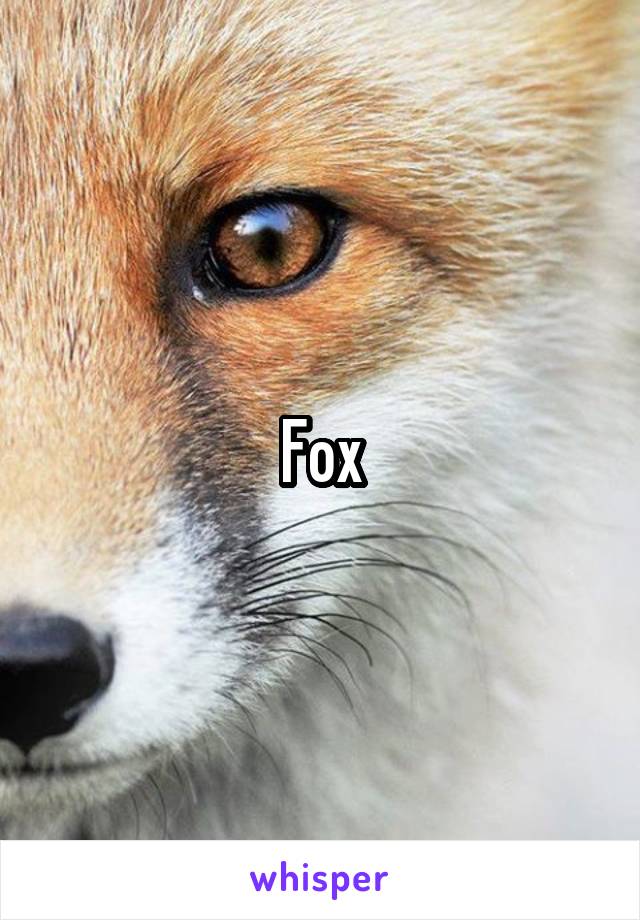 Fox