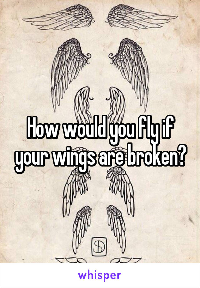 How would you fly if your wings are broken?