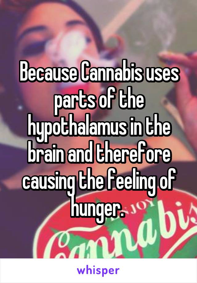 Because Cannabis uses parts of the hypothalamus in the brain and therefore causing the feeling of hunger. 