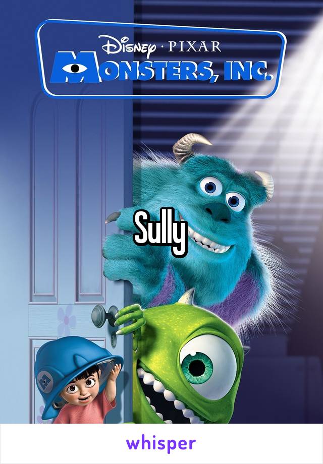 Sully 