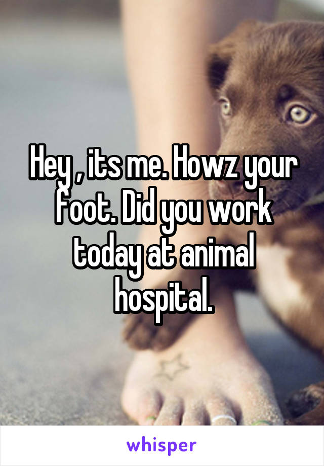 Hey , its me. Howz your foot. Did you work today at animal hospital.