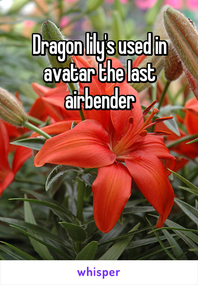 Dragon lily's used in avatar the last airbender




