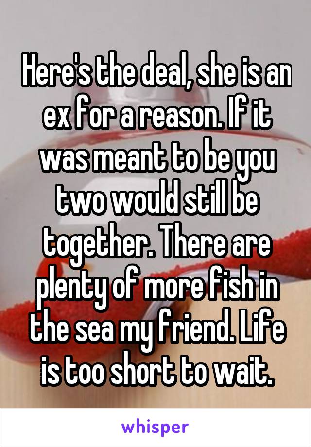 Here's the deal, she is an ex for a reason. If it was meant to be you two would still be together. There are plenty of more fish in the sea my friend. Life is too short to wait.