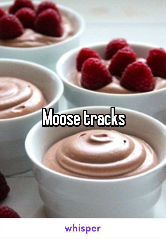 Moose tracks