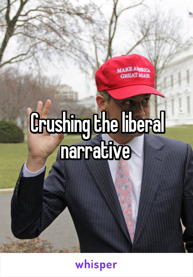 Crushing the liberal narrative 