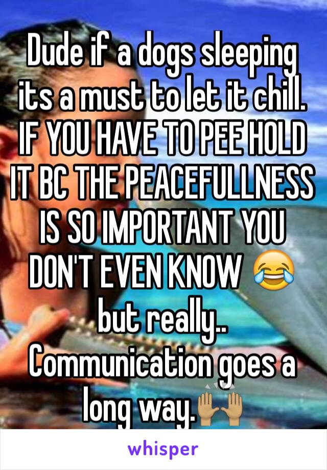 Dude if a dogs sleeping its a must to let it chill. IF YOU HAVE TO PEE HOLD IT BC THE PEACEFULLNESS IS SO IMPORTANT YOU DON'T EVEN KNOW 😂 but really.. Communication goes a long way.🙌🏽
