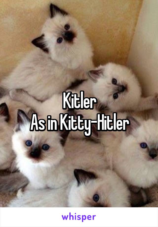 Kitler
As in Kitty-Hitler
