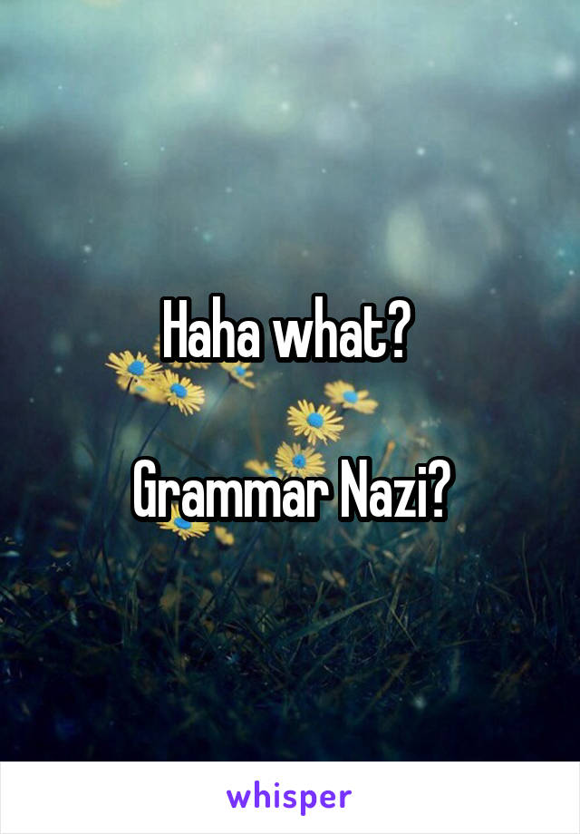 Haha what? 

Grammar Nazi?