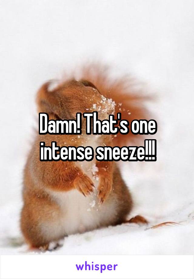 Damn! That's one intense sneeze!!!