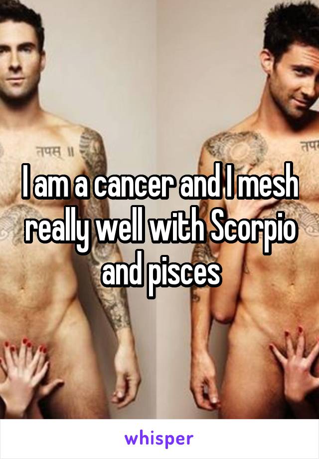 I am a cancer and I mesh really well with Scorpio and pisces