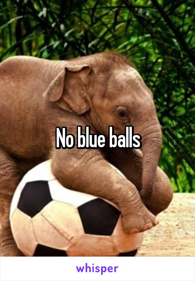 No blue balls