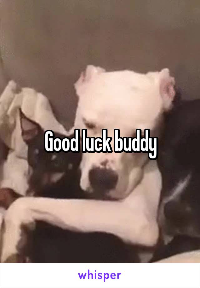 Good luck buddy