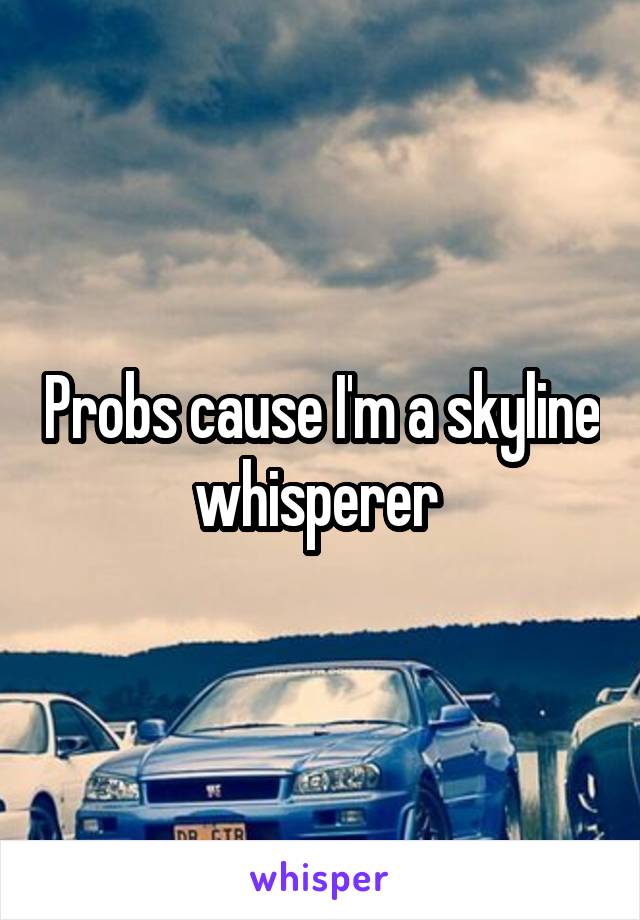 Probs cause I'm a skyline whisperer 