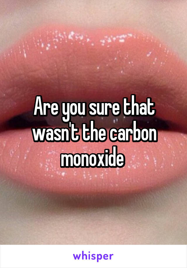 Are you sure that wasn't the carbon monoxide 