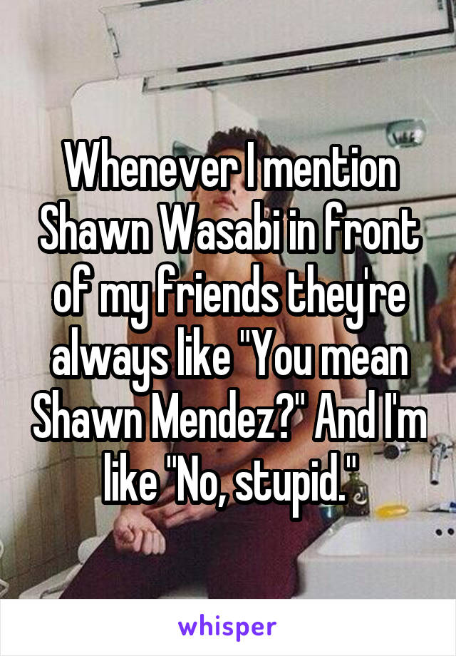 Whenever I mention Shawn Wasabi in front of my friends they're always like "You mean Shawn Mendez?" And I'm like "No, stupid."