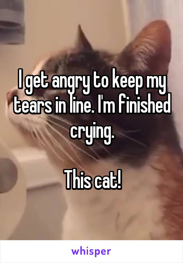 I get angry to keep my tears in line. I'm finished crying.

This cat!