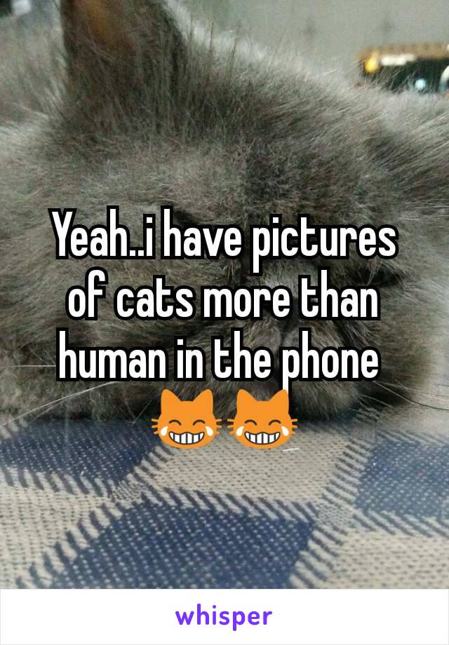 Yeah..i have pictures of cats more than human in the phone 
😹😹
