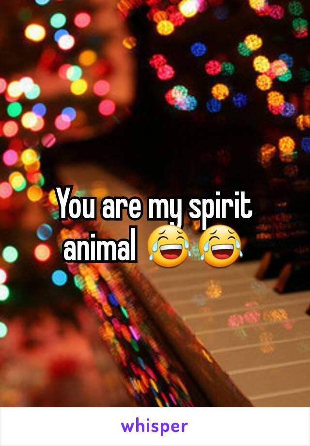 You are my spirit animal 😂😂