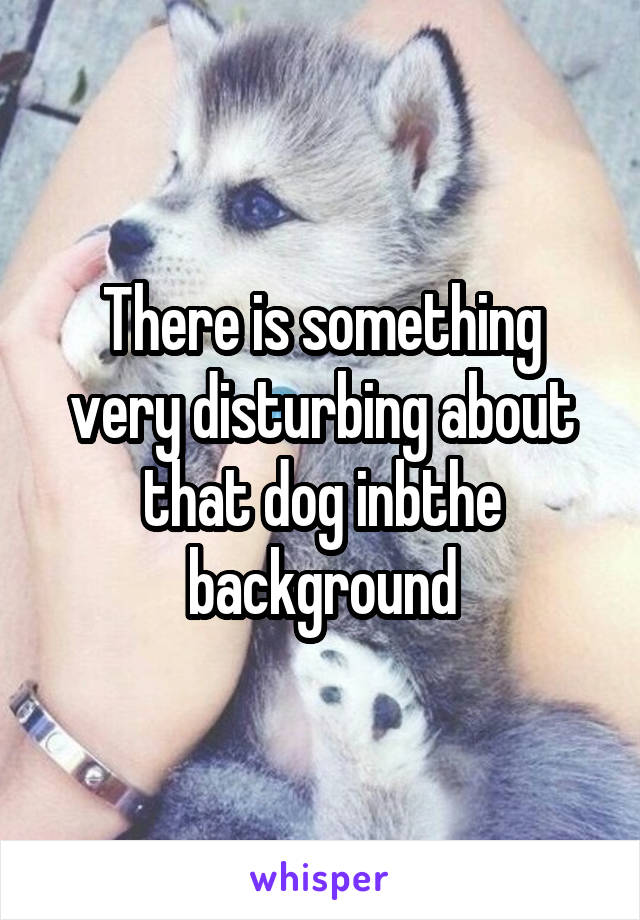 There is something very disturbing about that dog inbthe background