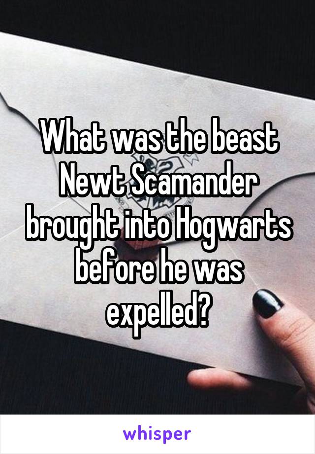 What was the beast Newt Scamander brought into Hogwarts before he was expelled?