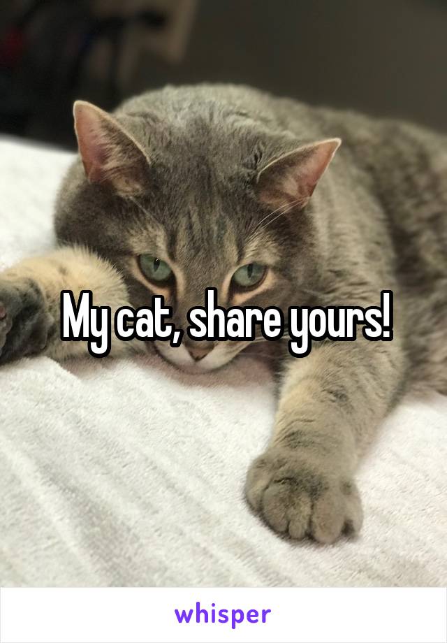 My cat, share yours!