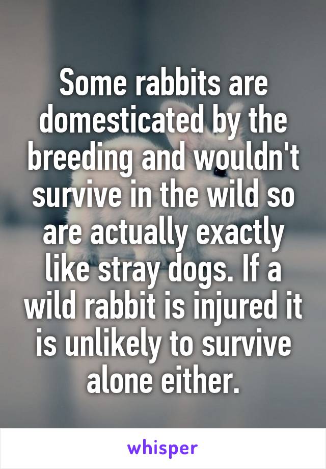 Some rabbits are domesticated by the breeding and wouldn't survive in the wild so are actually exactly like stray dogs. If a wild rabbit is injured it is unlikely to survive alone either.