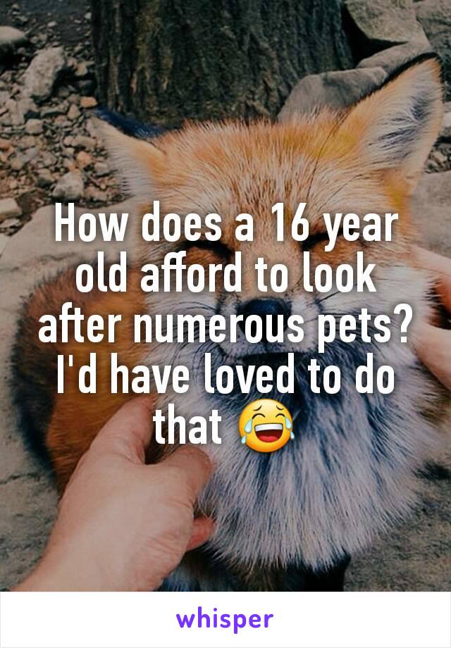 How does a 16 year old afford to look after numerous pets? I'd have loved to do that 😂